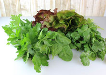 non-cruciferous-green-leafy-vegetables-related-pages