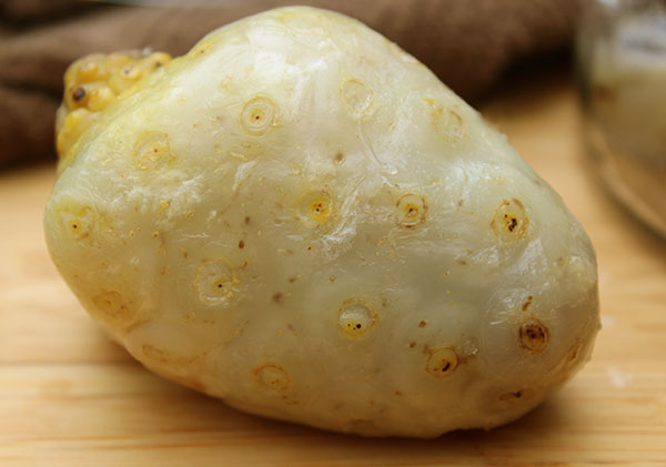 noni-fruit-benefits noni-fruit-benefits