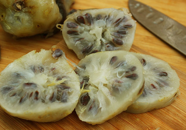 noni-fruit-juice-benefits noni-fruit-juice-benefits