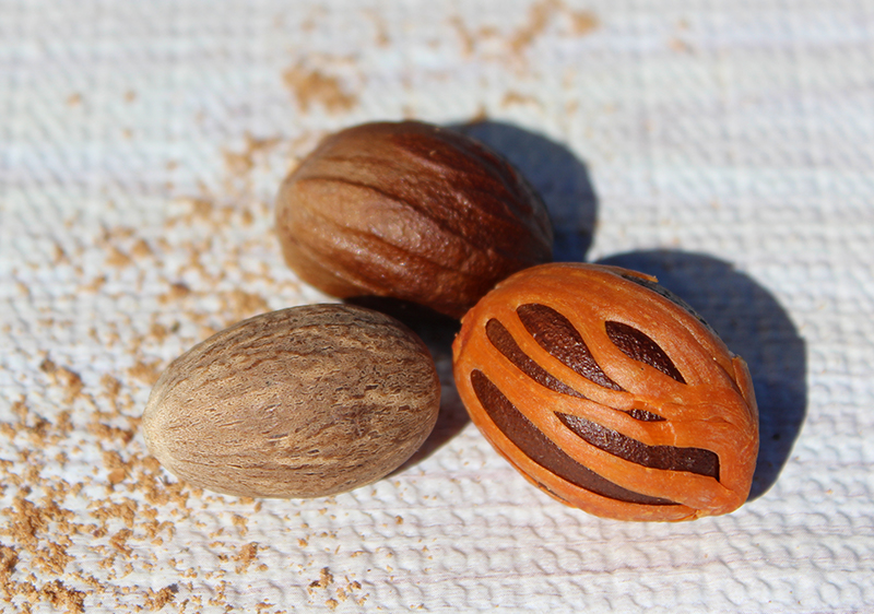 nutmeg-and-mace nutmeg-and-mace