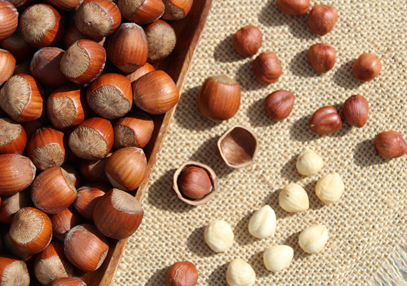 nutritional-properties-of-hazelnuts