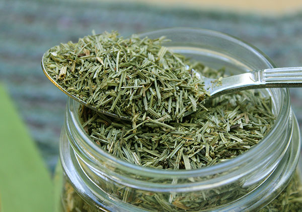 nutritive-herbal-tea-horsetail-herb nutritive-herbal-tea-horsetail-herb