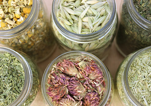 nutritive-herbal-tea-options nutritive-herbal-tea-options