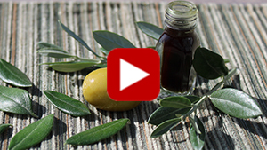 olive-leaf-extract-vid