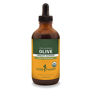 olive-leaf-tincture-herb-pharm