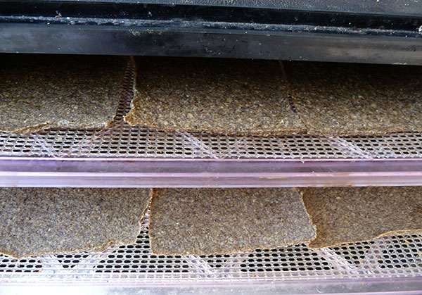 onion-bread-recipe-gluten-free onion-bread-recipe-gluten-free