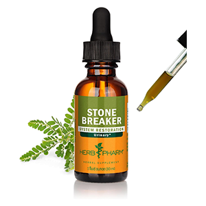 oxalates-stone-breaker-herb-pharm