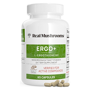 oyster-mushroom-extract