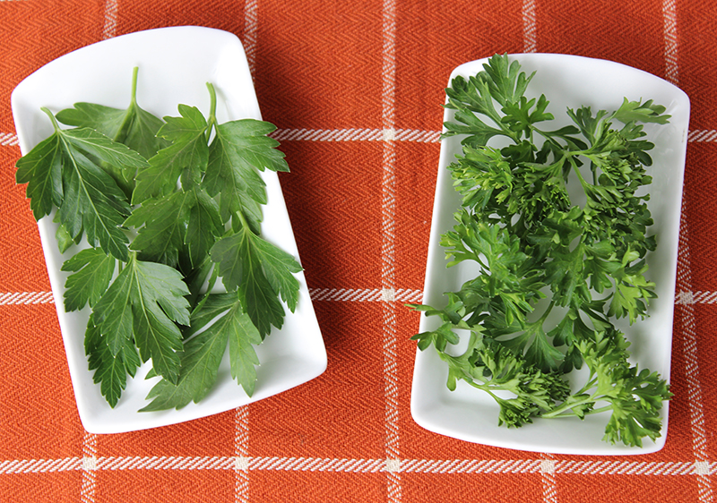 11 Things About Parsley Leaves, Named Herb of 2021