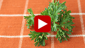 parsley-leaves-vid