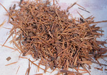 pau-darco-bark-related-pages