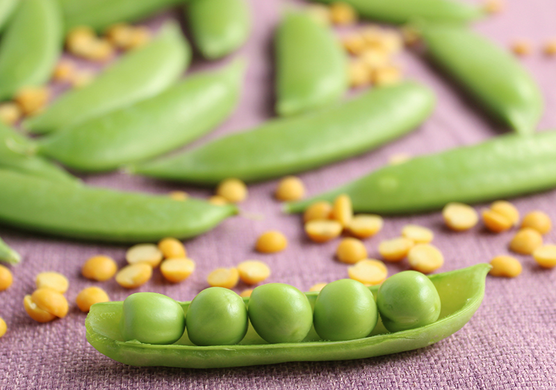 pea-protein-pros-and-cons pea-protein-pros-and-cons