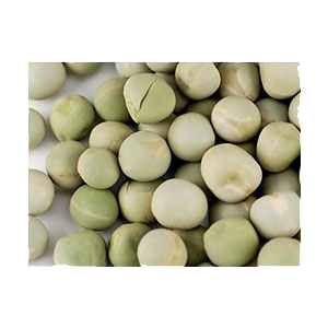 peas-green-seeds-wheatgrass-kits