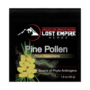 pine-pollen-lost-empire