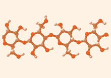 polysaccharides-page