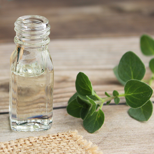 pure-oregano-essential-oil pure-oregano-essential-oil