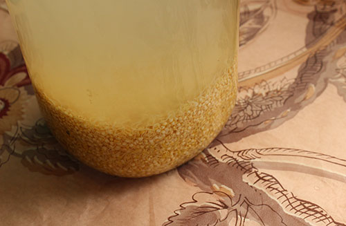 quinoa-rejuvelac-recipe-gluten-free