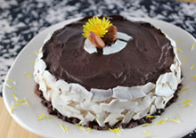 raw-chocolate-coconut-cream-pie-related-pages