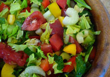 raw-food-diet-plan-related-pages