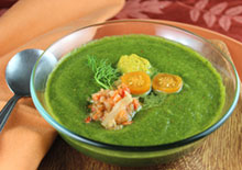 raw-soup-recipes-related-pages