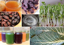 raw-vegan-diet-related-pages