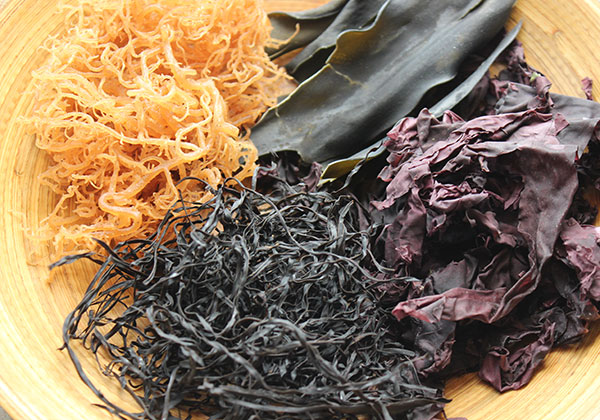 raw-vegan-diet-seaweed