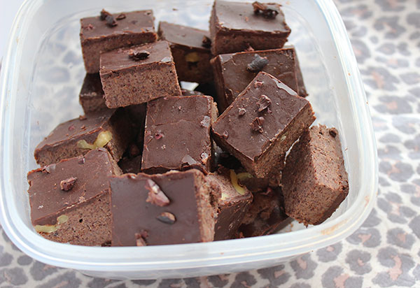 raw-vegan-fudge-in-container raw-vegan-fudge-in-container