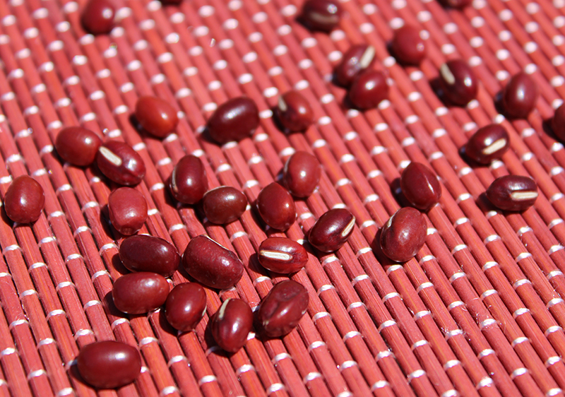 red-adzuki-bean-nutrition-facts red-adzuki-bean-nutrition-facts