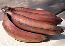 red-banana-nutrition-related-pages
