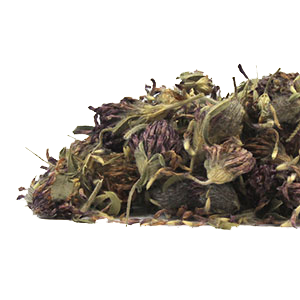 red-clover-blossoms-mrh