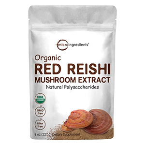 reishi-extract-powder-micro