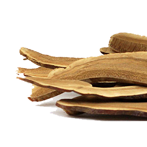 reishi-slices-mountain-rose