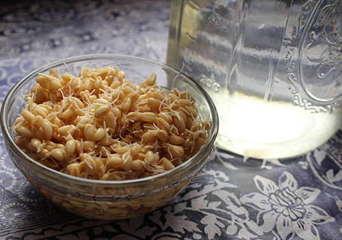 rejuvelac-health-benefits