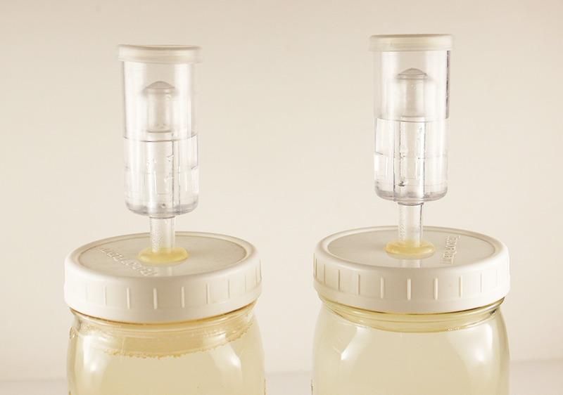 rejuvelac-recipe-fermentation-airlock rejuvelac-recipe-fermentation-airlock