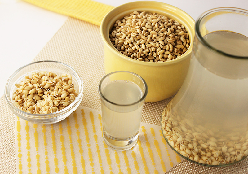 rejuvelac-sprouted-wheatberries rejuvelac-sprouted-wheatberries