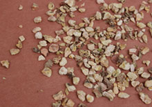 rhodiola-root-related-pages