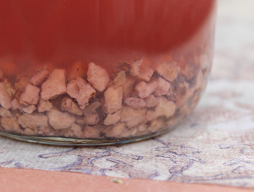 rhodiola-root-tea-decoction