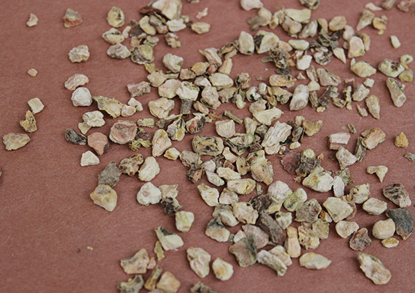 rhodiola-rosea-benefits-root-pieces