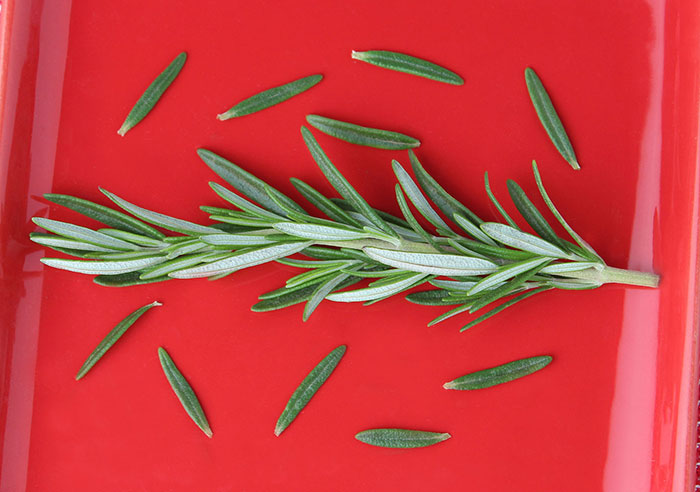 rosemary-herb-leaves-benefits rosemary-herb-leaves-benefits