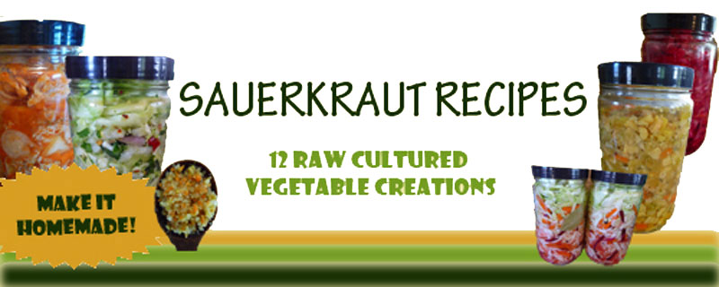 sauerkraut-recipe-book-banner
