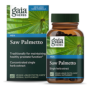 saw-palmetto-gaia