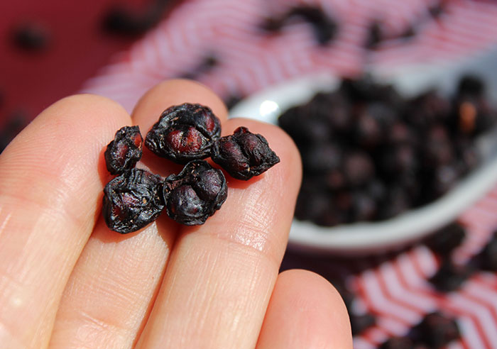 schizandra-berries-close-up