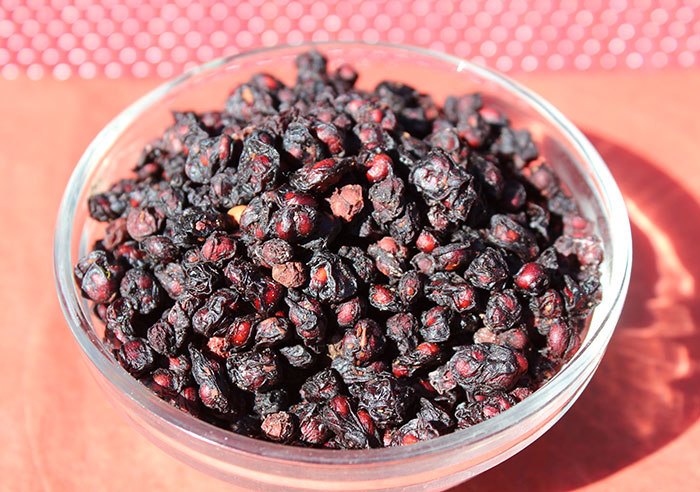 schizandra-berries-dried-organic