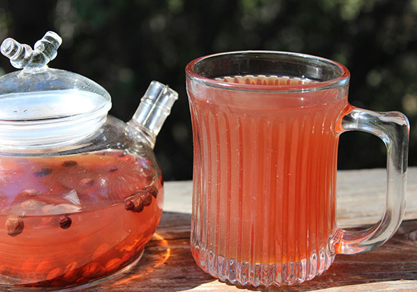schizandra-berry-tea-decoction