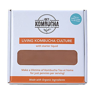 scoby-kombucha-large