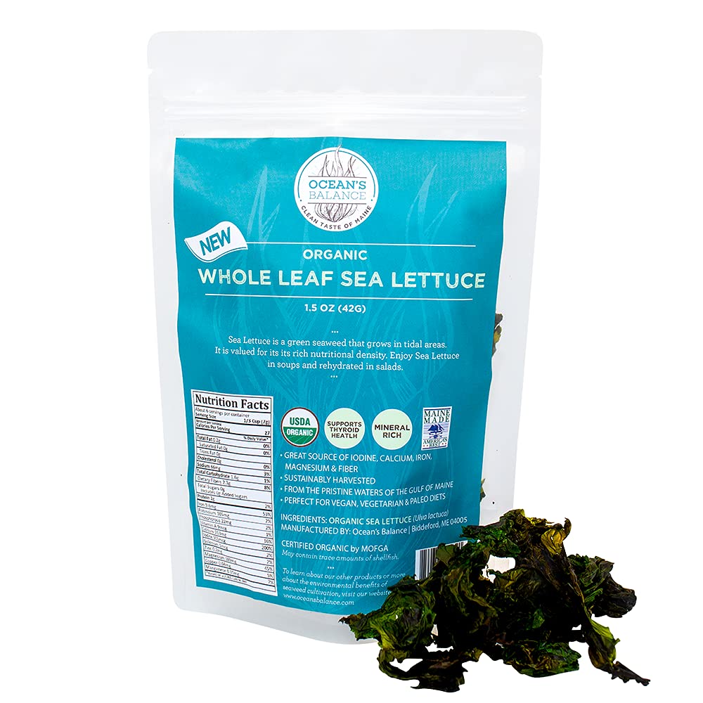 sea-lettuce-oceans-whole-leaf