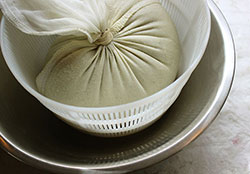 seed-and--nut-cheese-press-1