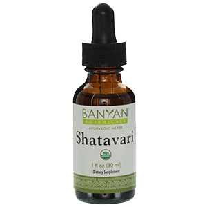 shatavari-extract-banyan