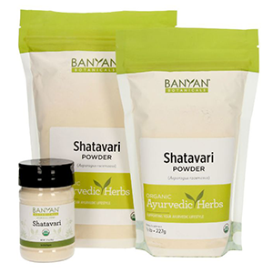 shatavari-powder-banyan