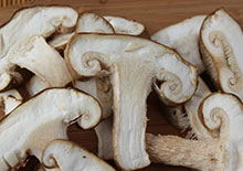 shiitake-mushroom-related-pages